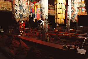 In de gebedshal (Shegar Chöde Monastery)